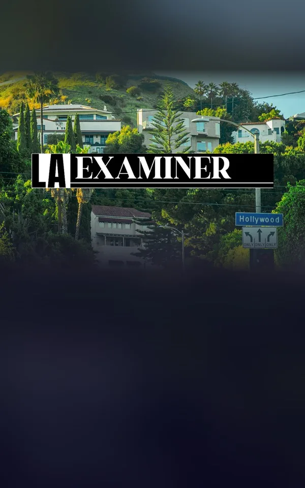 LA Examiner · 17 Mar 2026 – When Judgment Becomes the Bottleneck